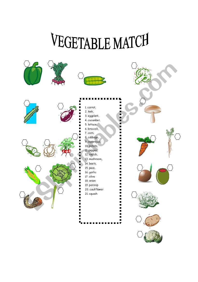 VEGETABLE MATCH worksheet