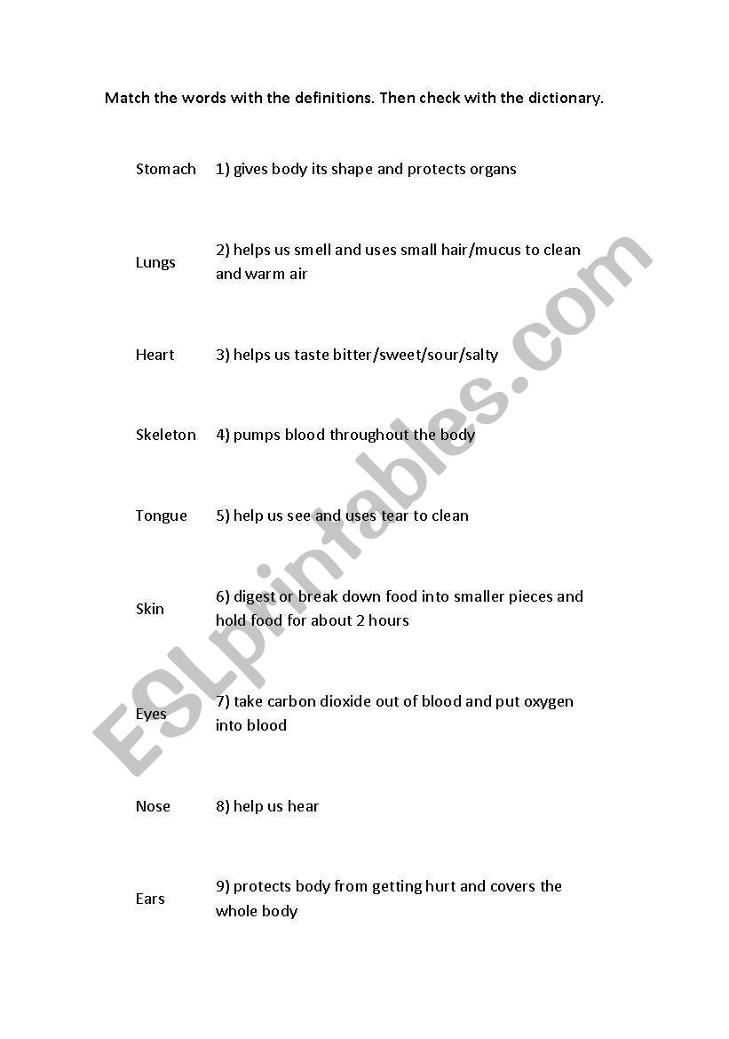matching body names worksheet