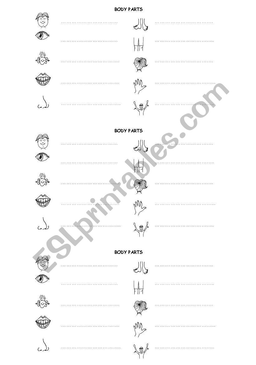 Body parts worksheet