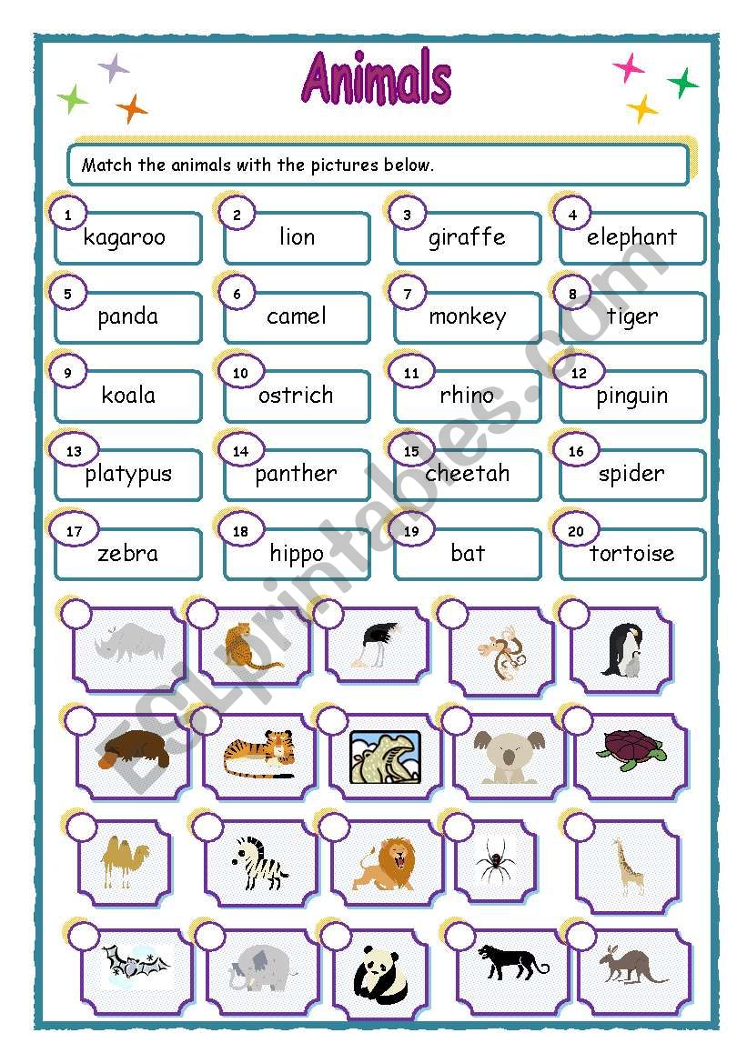 Wild animals worksheet