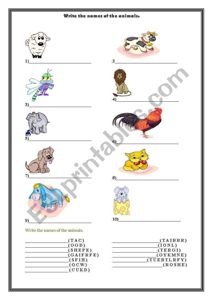 animals worksheet