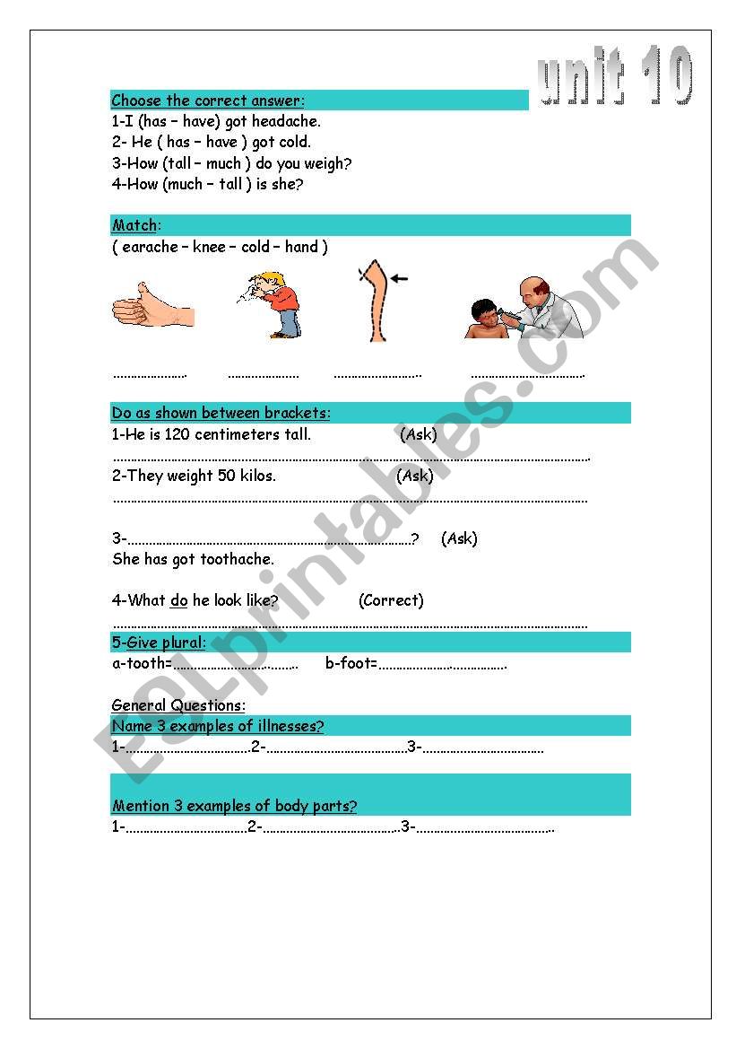 my body worksheet