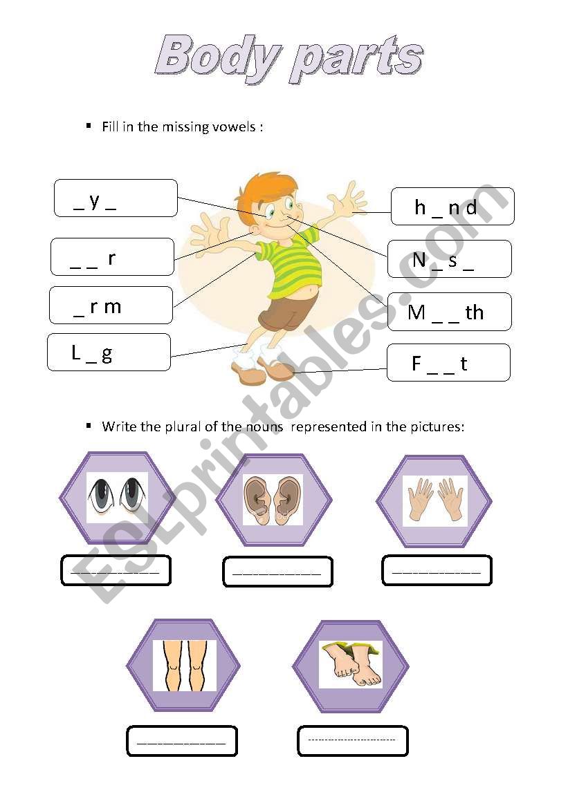 body parts worksheet