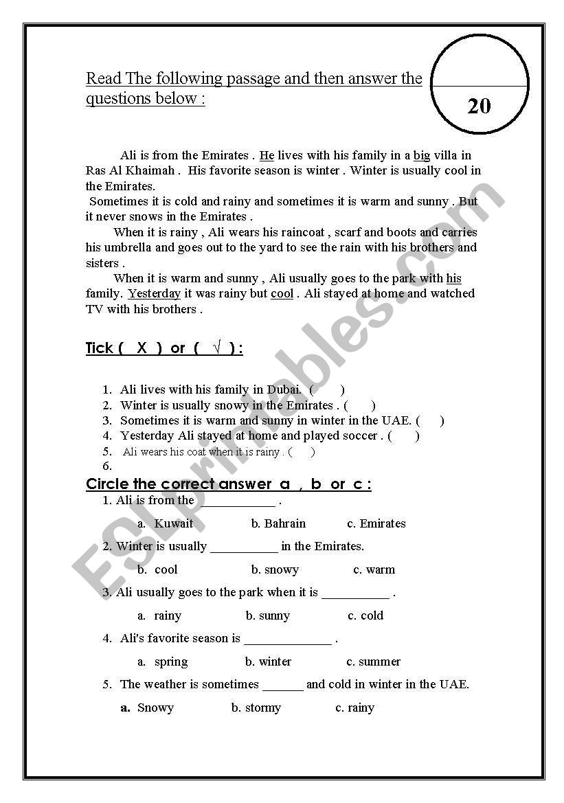 reading comprehension worksheet