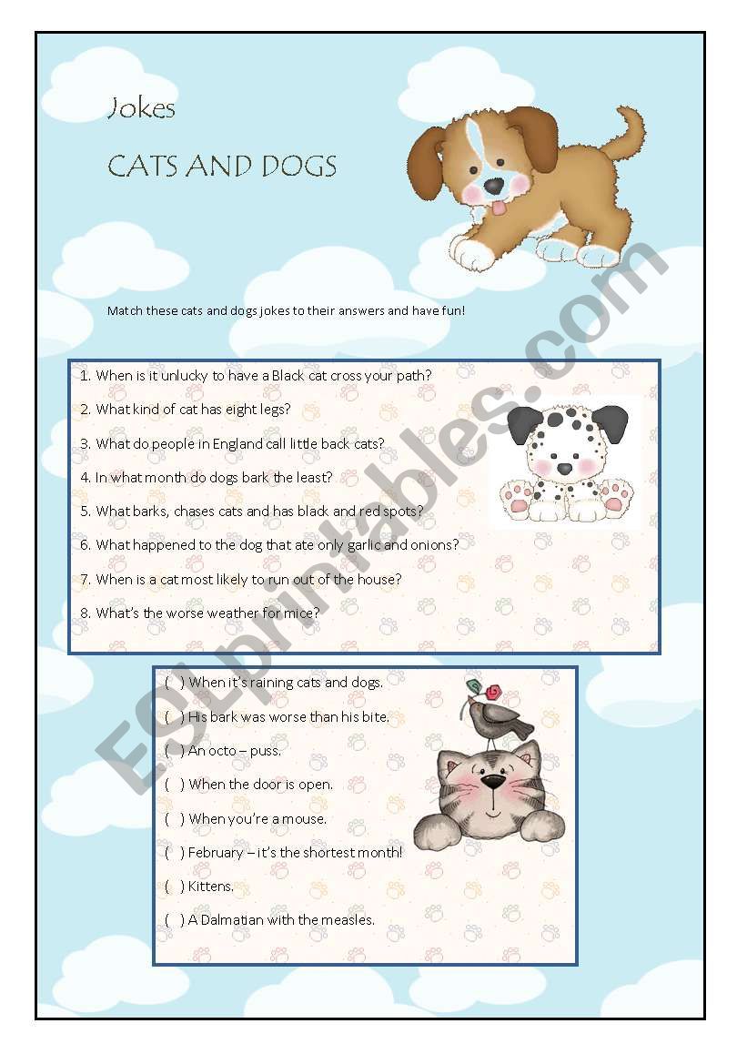 Cats and Dogs Jokes worksheet