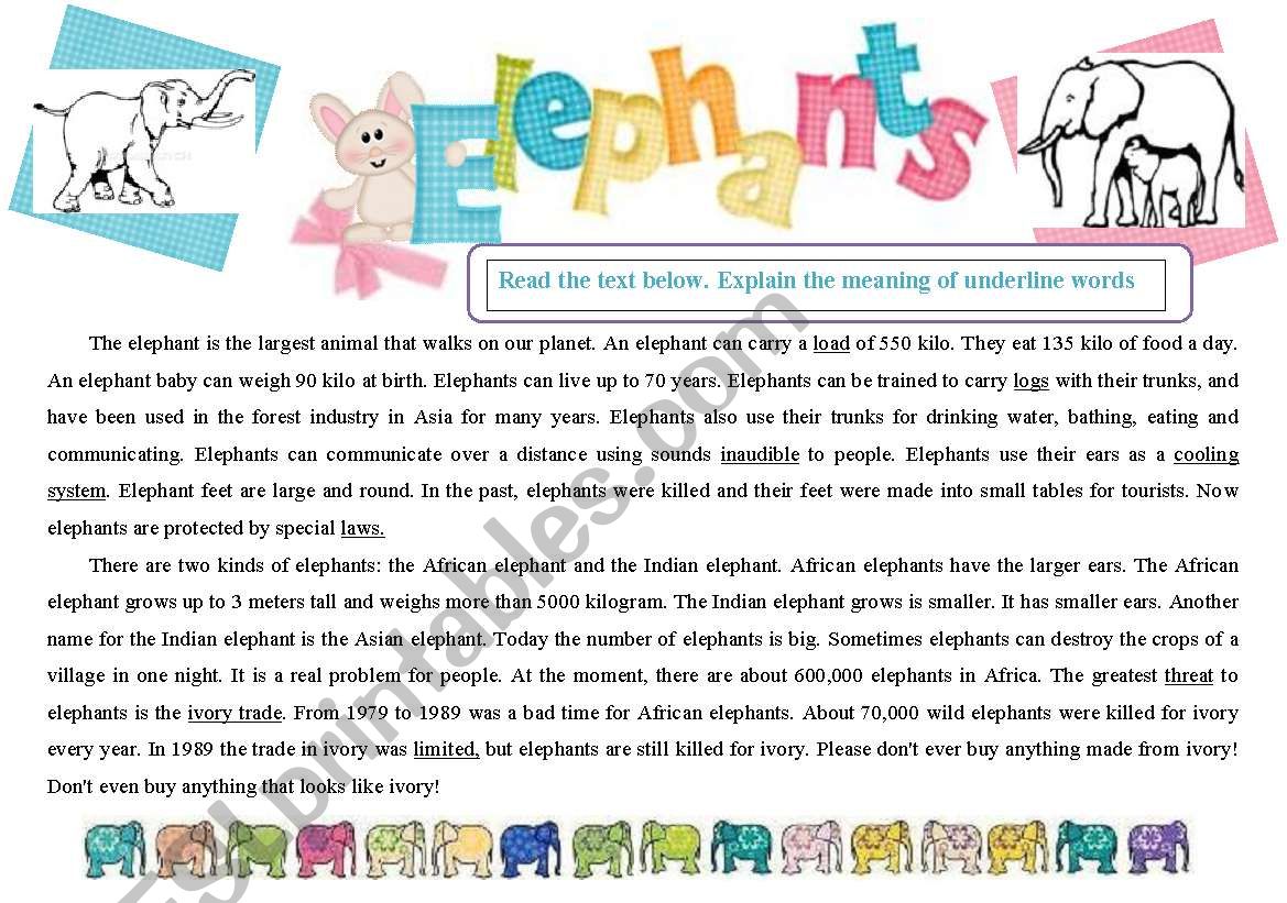 Reading. Elephants. worksheet