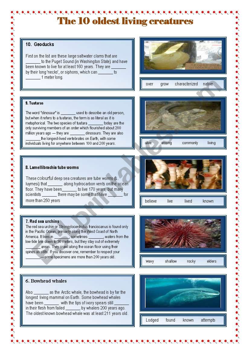 The 10 oldest living creatures.  Fully editable reading WS