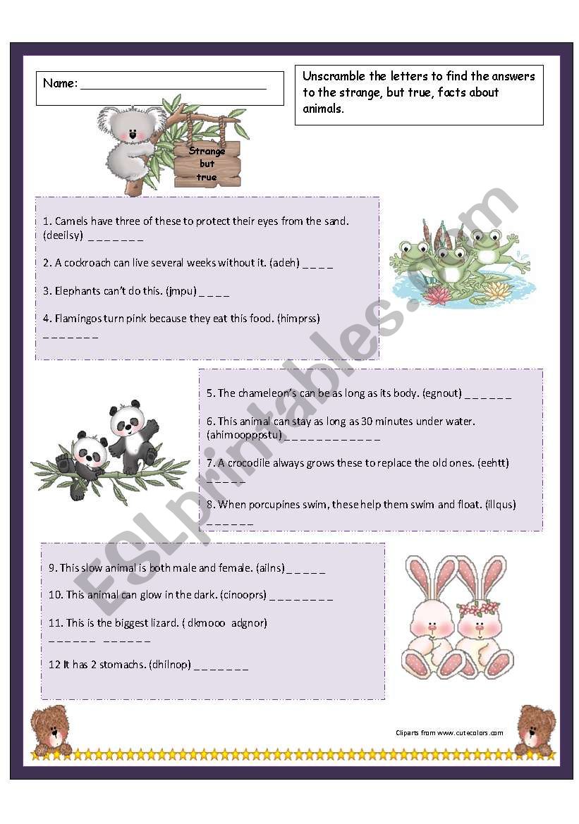 Fun facts about animals worksheet