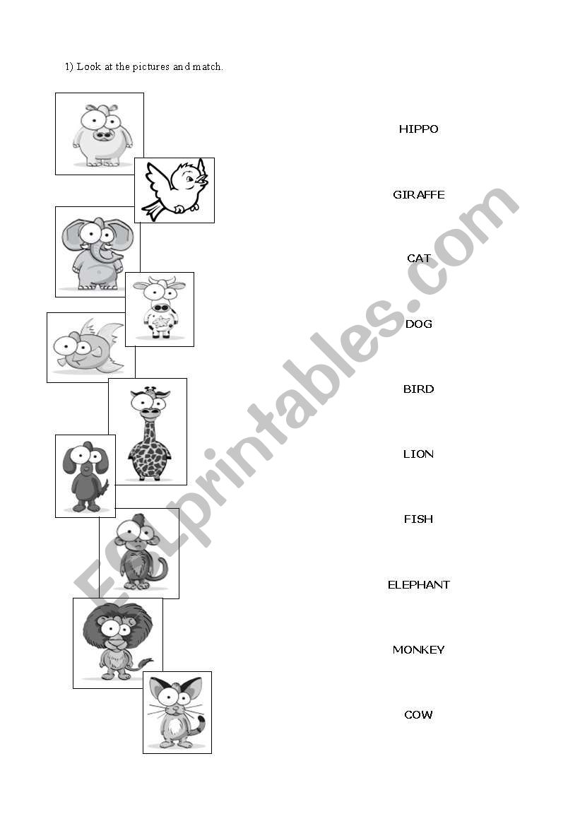 ANIMALS worksheet