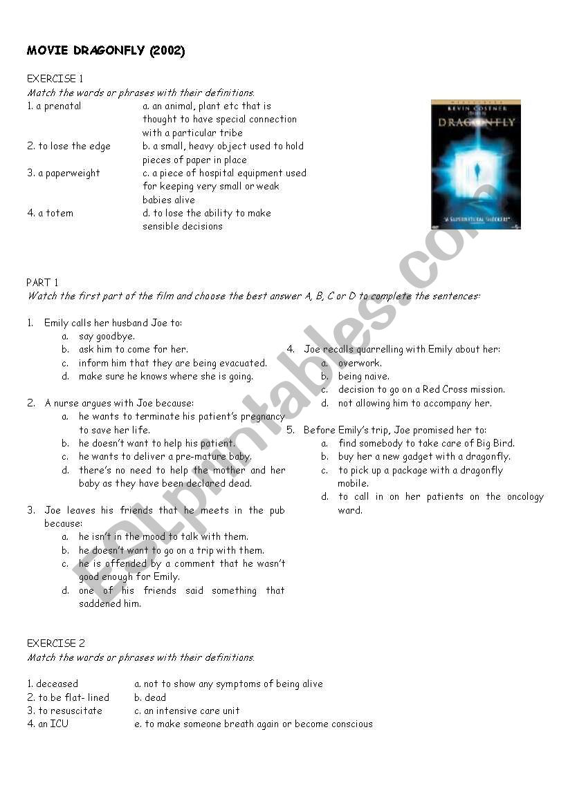 Dragonfly Movie worksheet