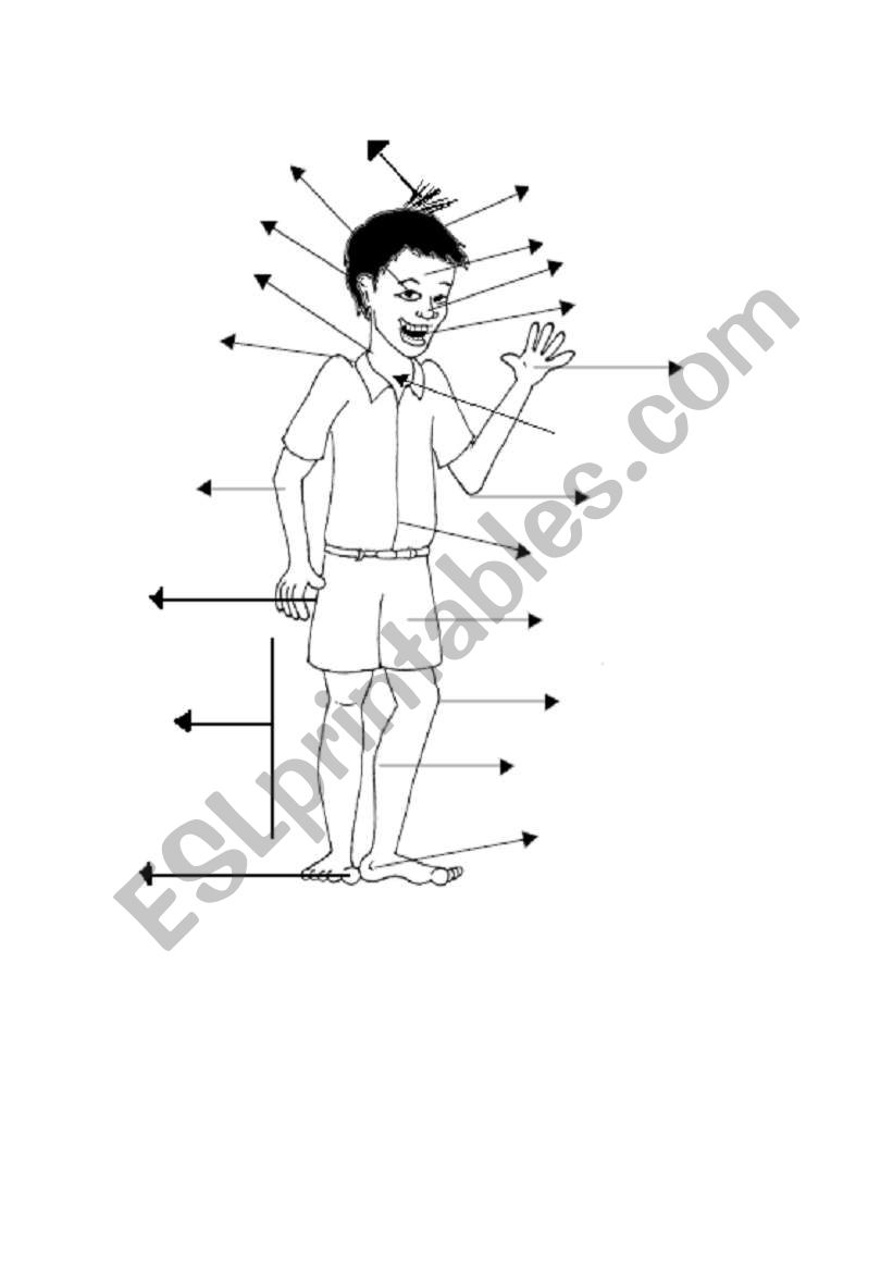 body parts worksheet