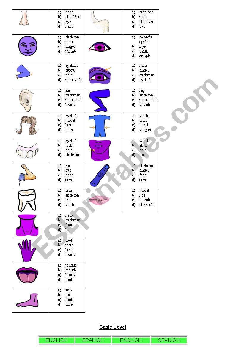 Parts of body worksheet