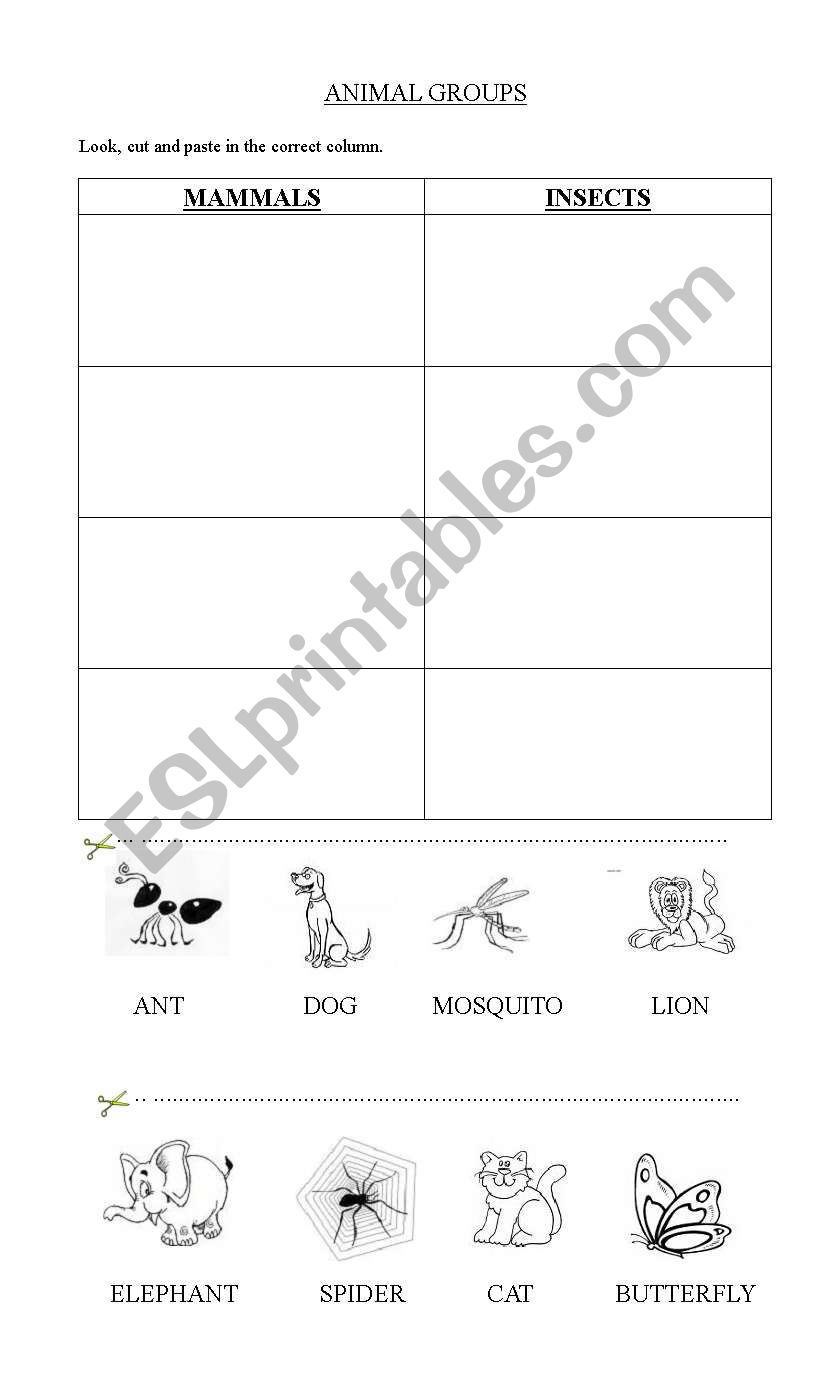 mammals and insects worksheet