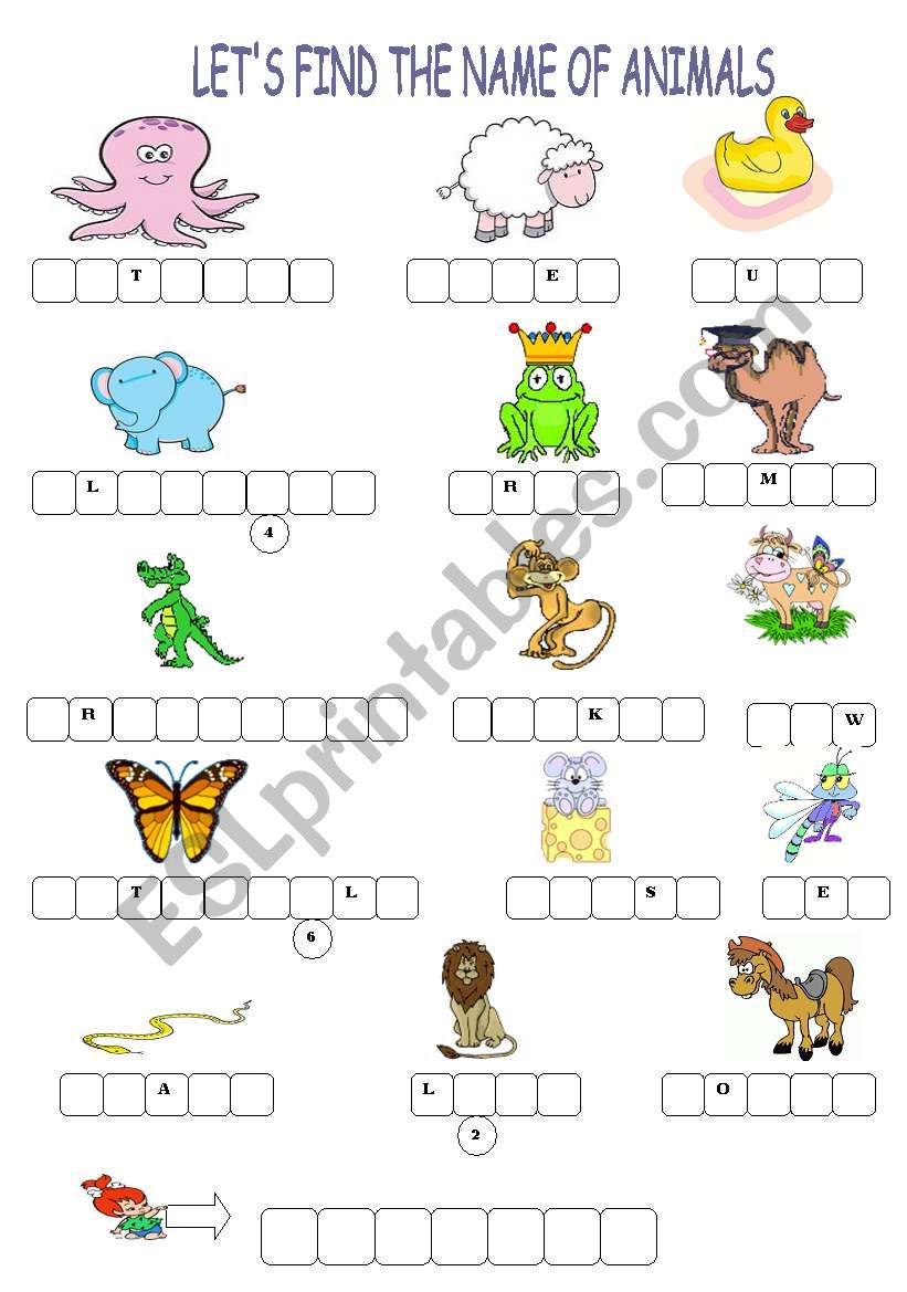 ANIMALS worksheet