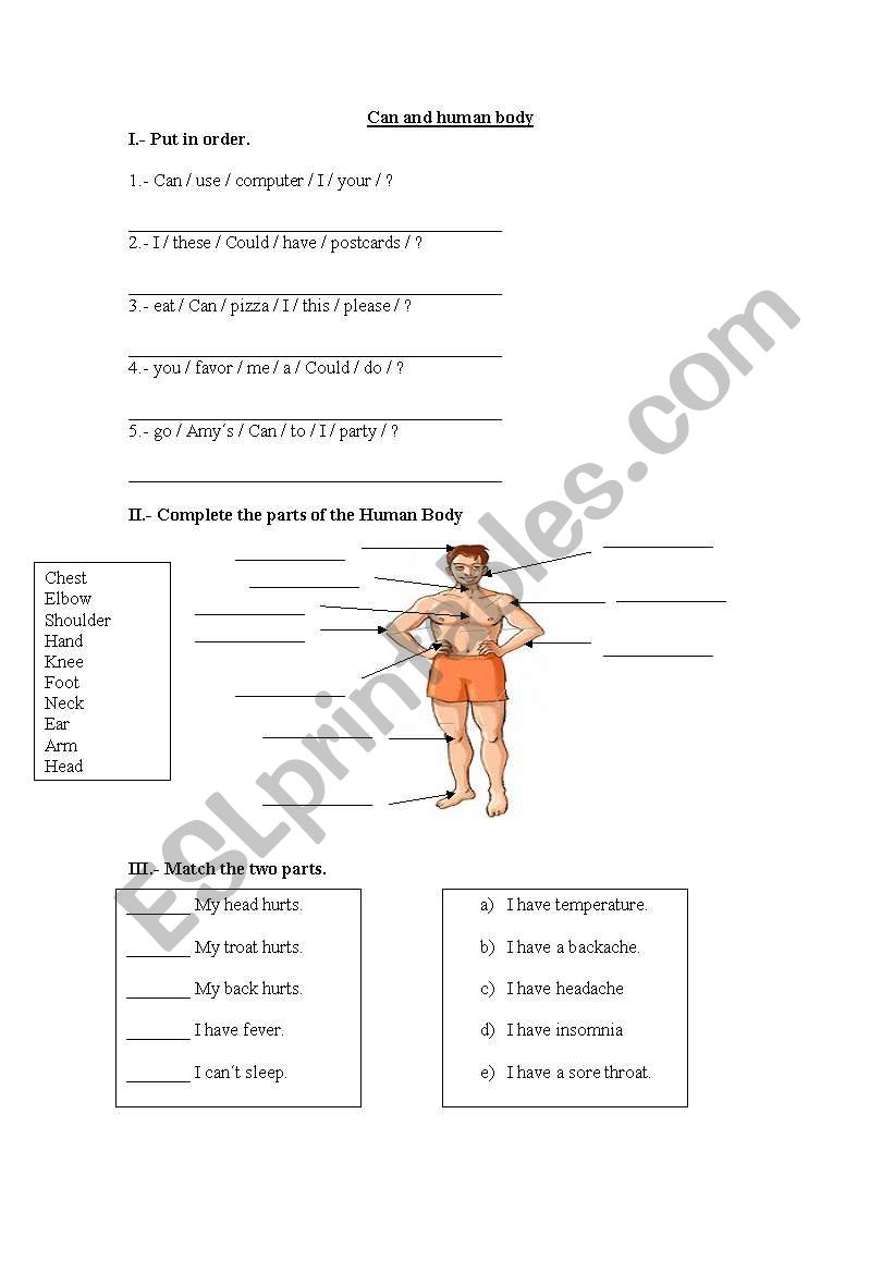 Human body worksheet