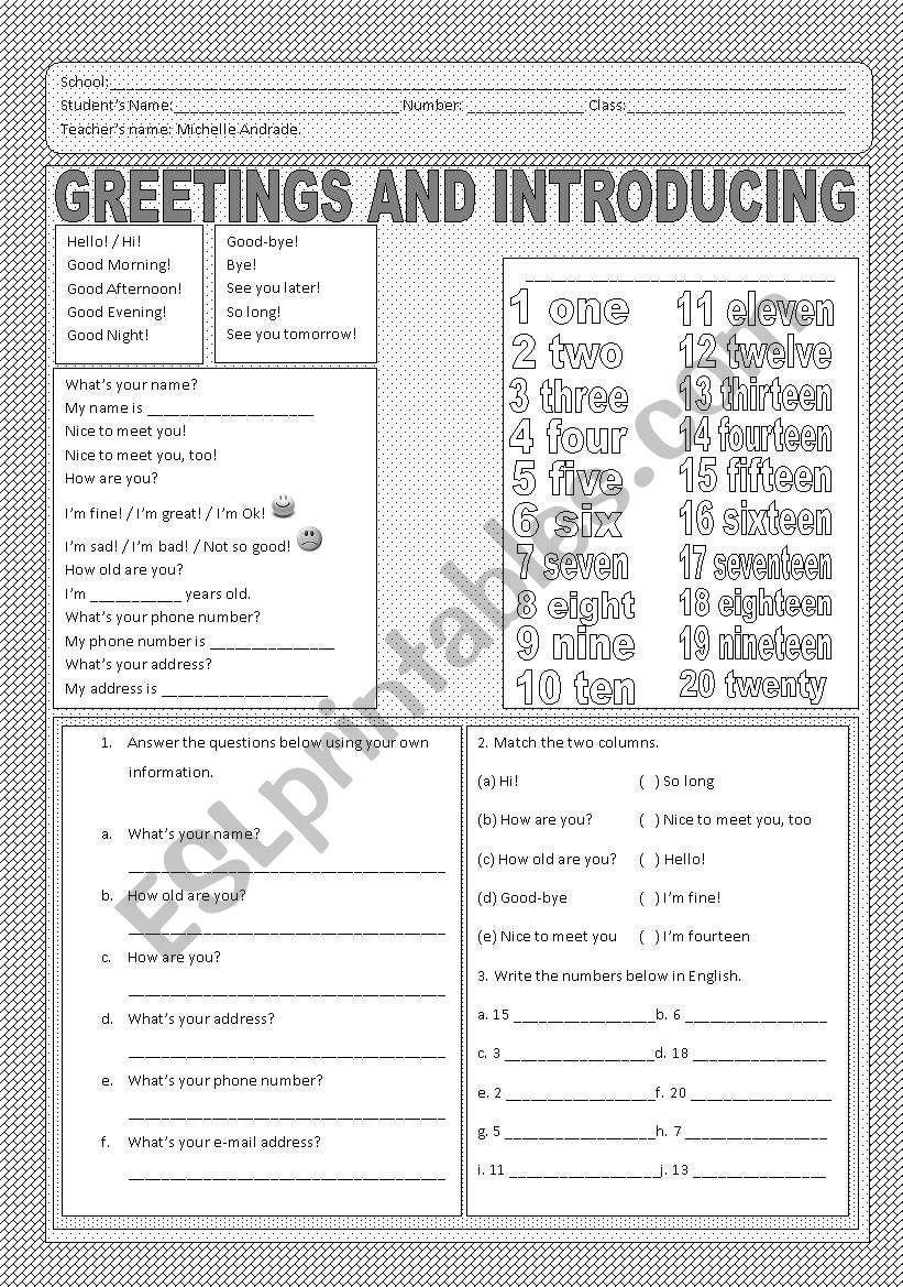 Greetings and Introducing  worksheet