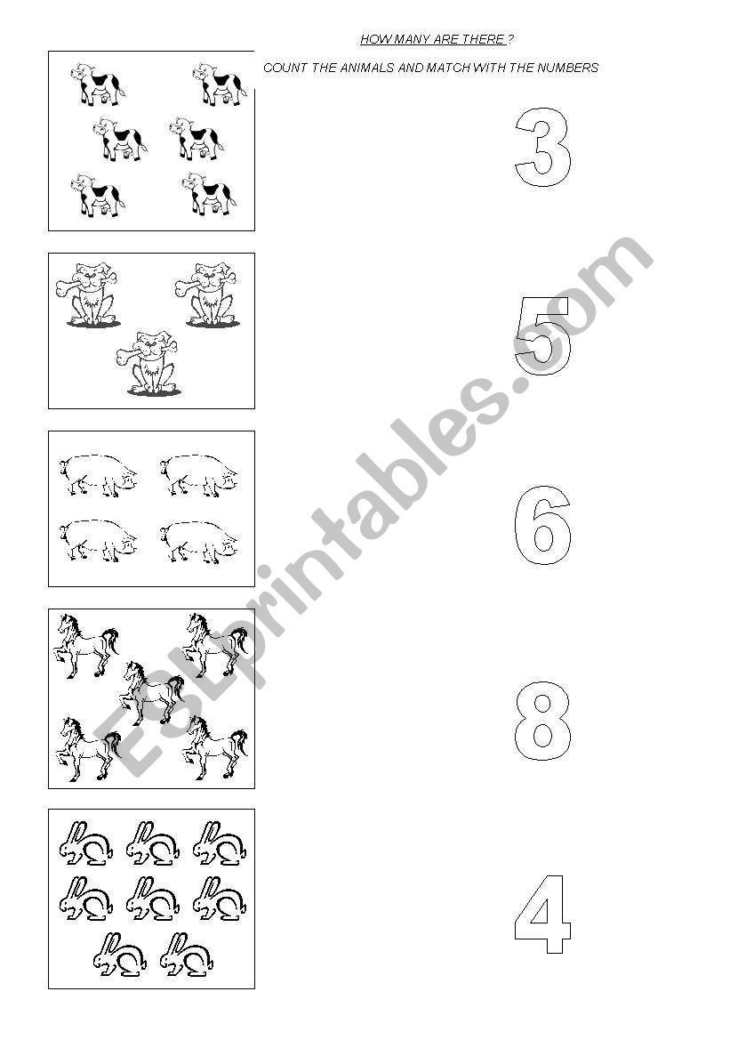 ANIMALS AND NUMBERS worksheet
