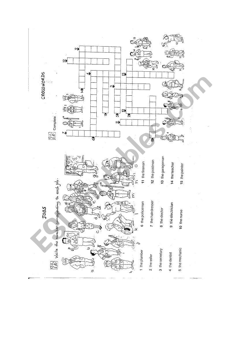 job crosswords worksheet