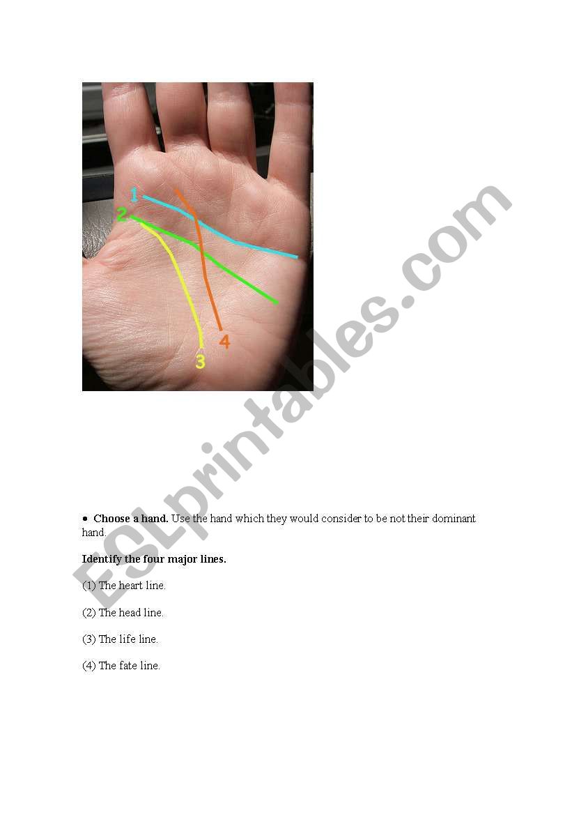 palm reading worksheet