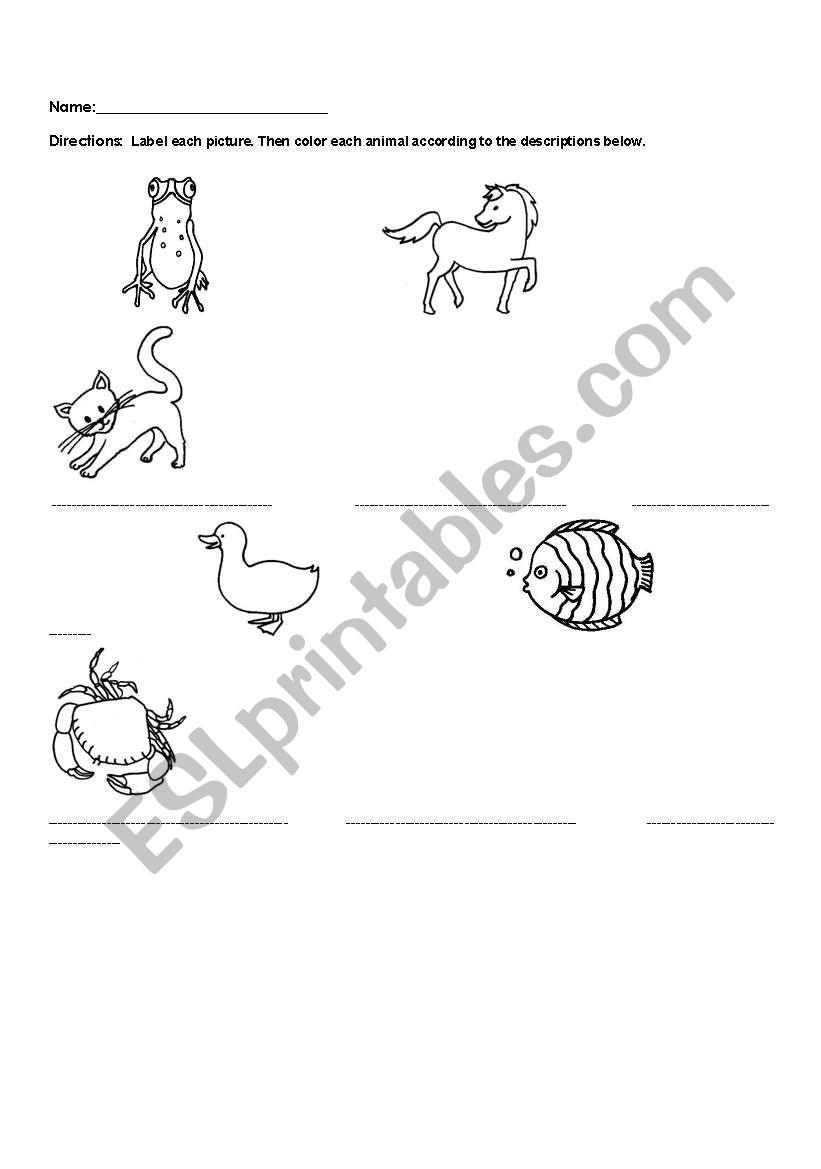 Animals worksheet