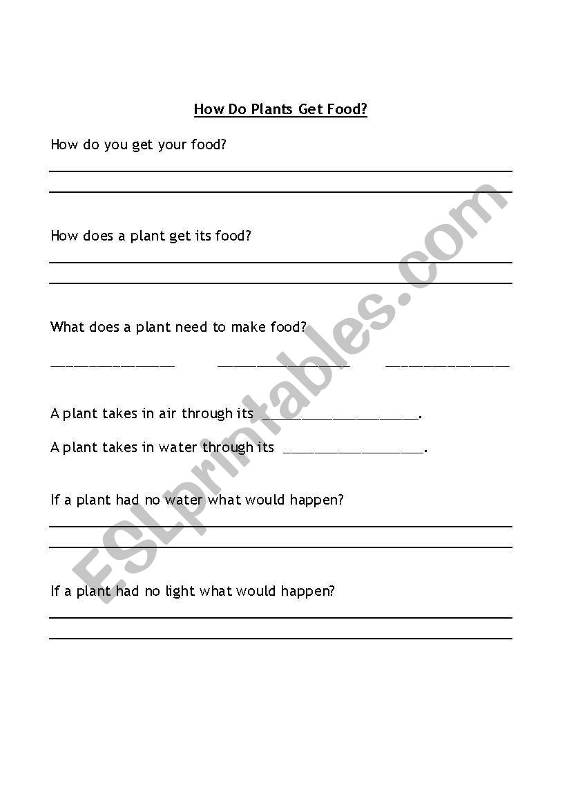 How do plants eat worksheet