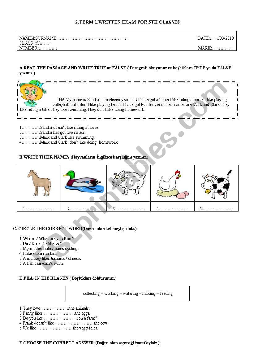 5th grade exam worksheet