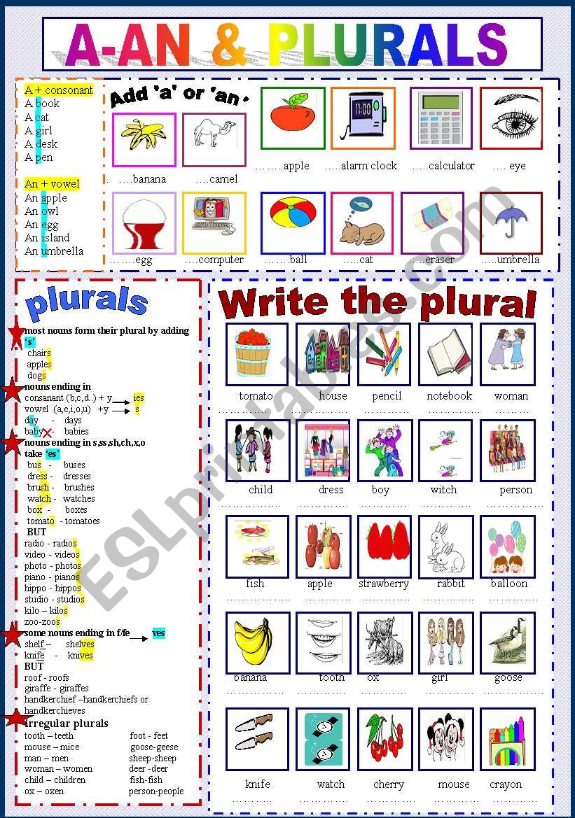 A - An & Plurals worksheet