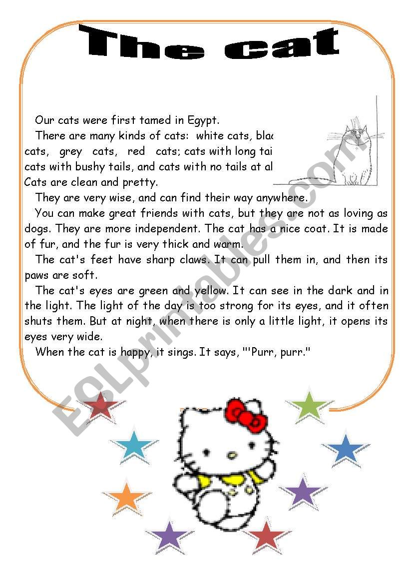 The cat worksheet