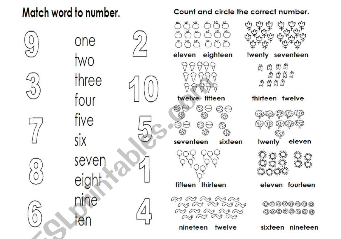 numbers worksheet