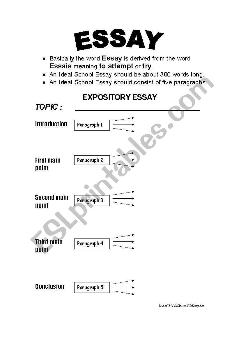 Essay worksheet