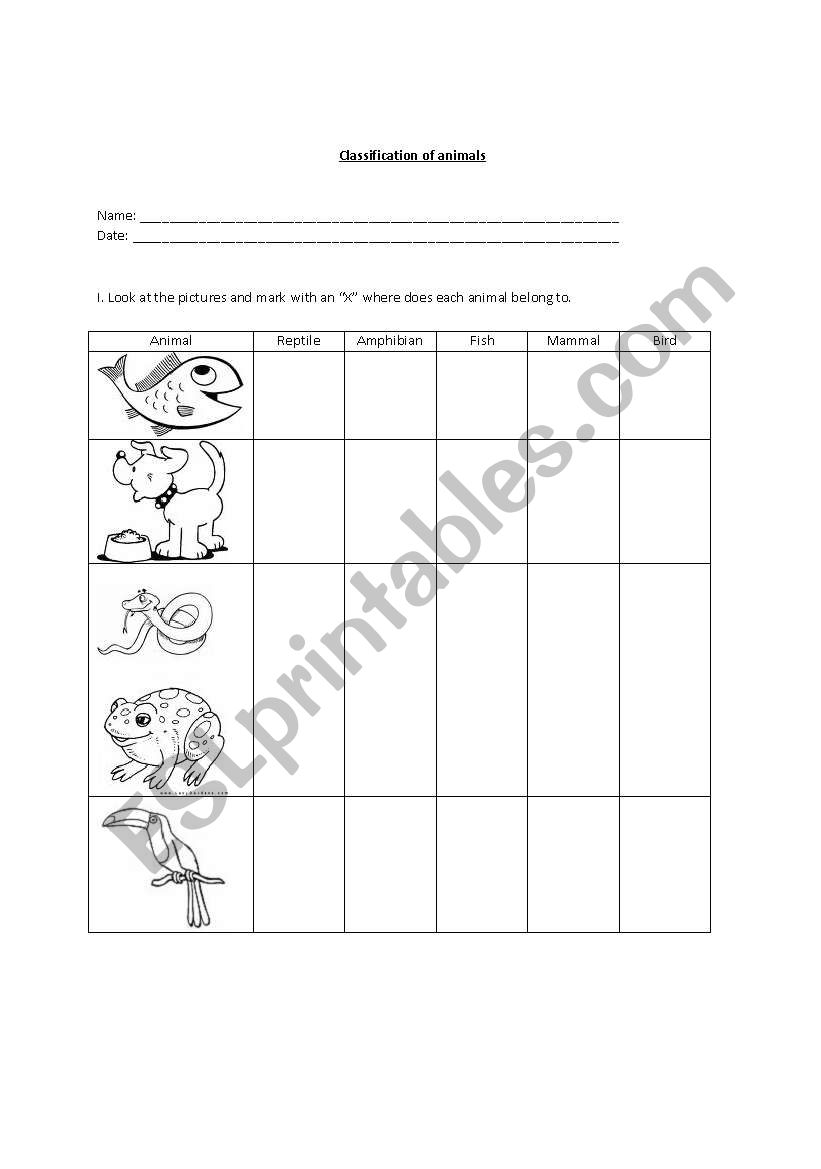 Animals Classification worksheet