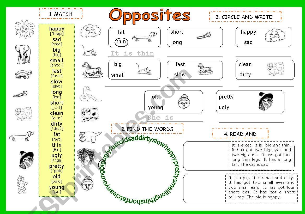 OPPOSITE  ADJECTIVES  3 pages - 6 activities (for beginners) - editable