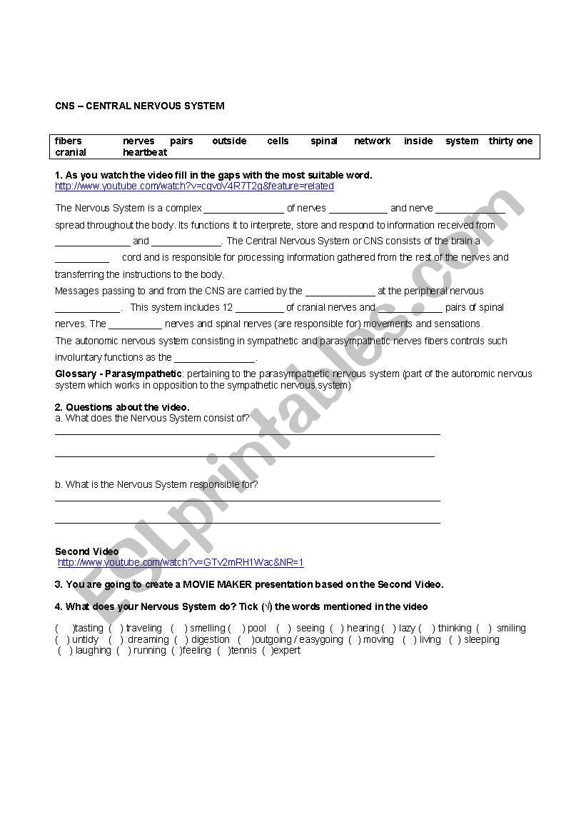 Central Nervous System worksheet