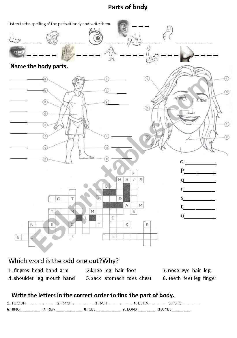 Parts of body- vocabulary practice