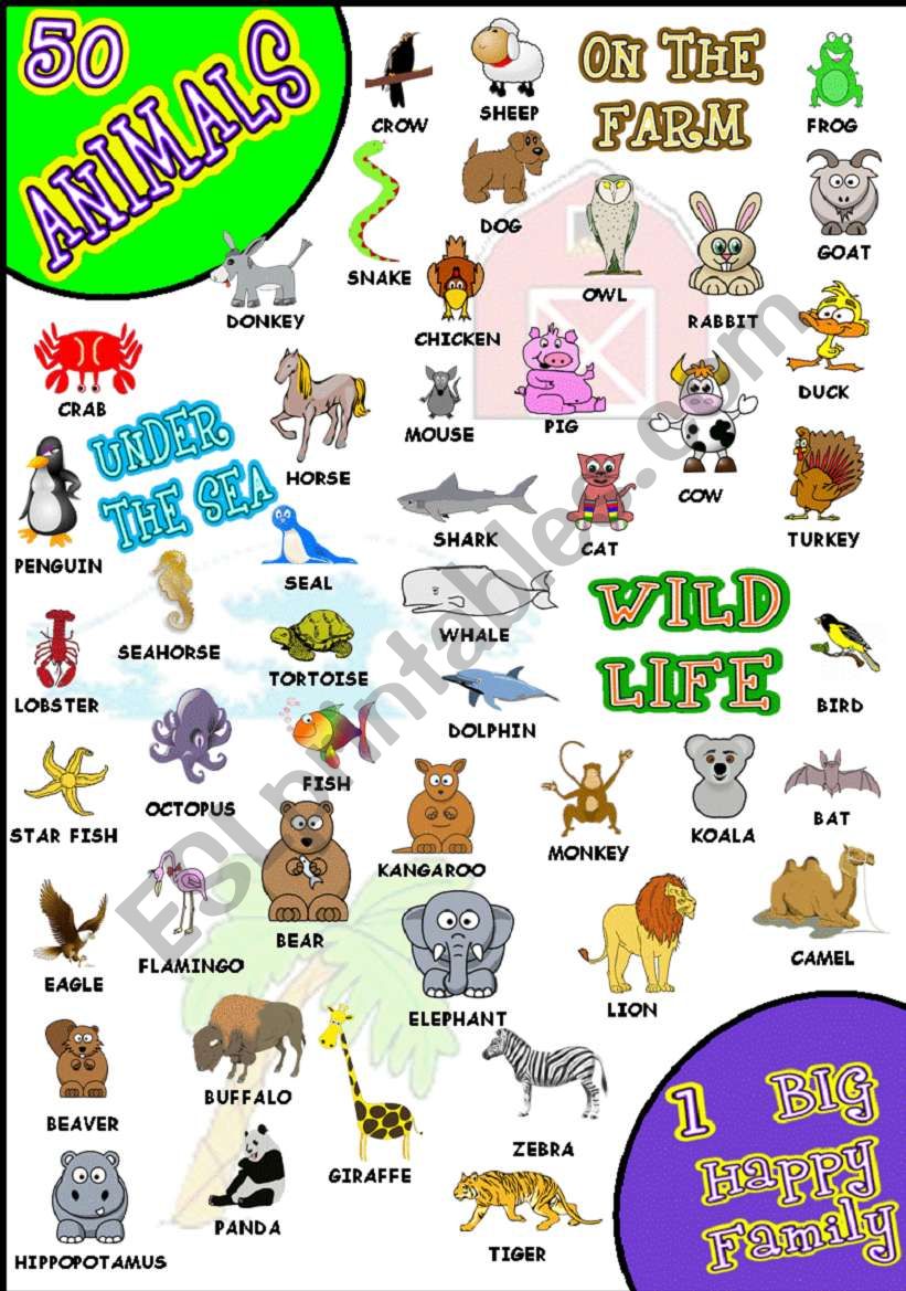 50 ANIMALS PICTIONARY WOW! worksheet