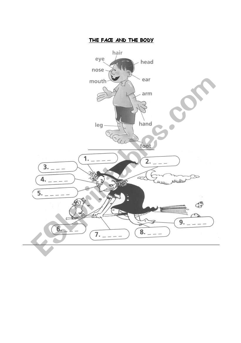 FACE AND BODY worksheet