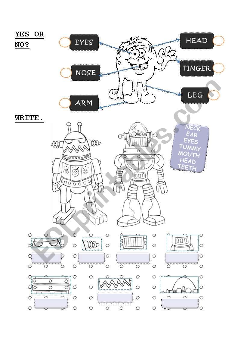 Body activities worksheet