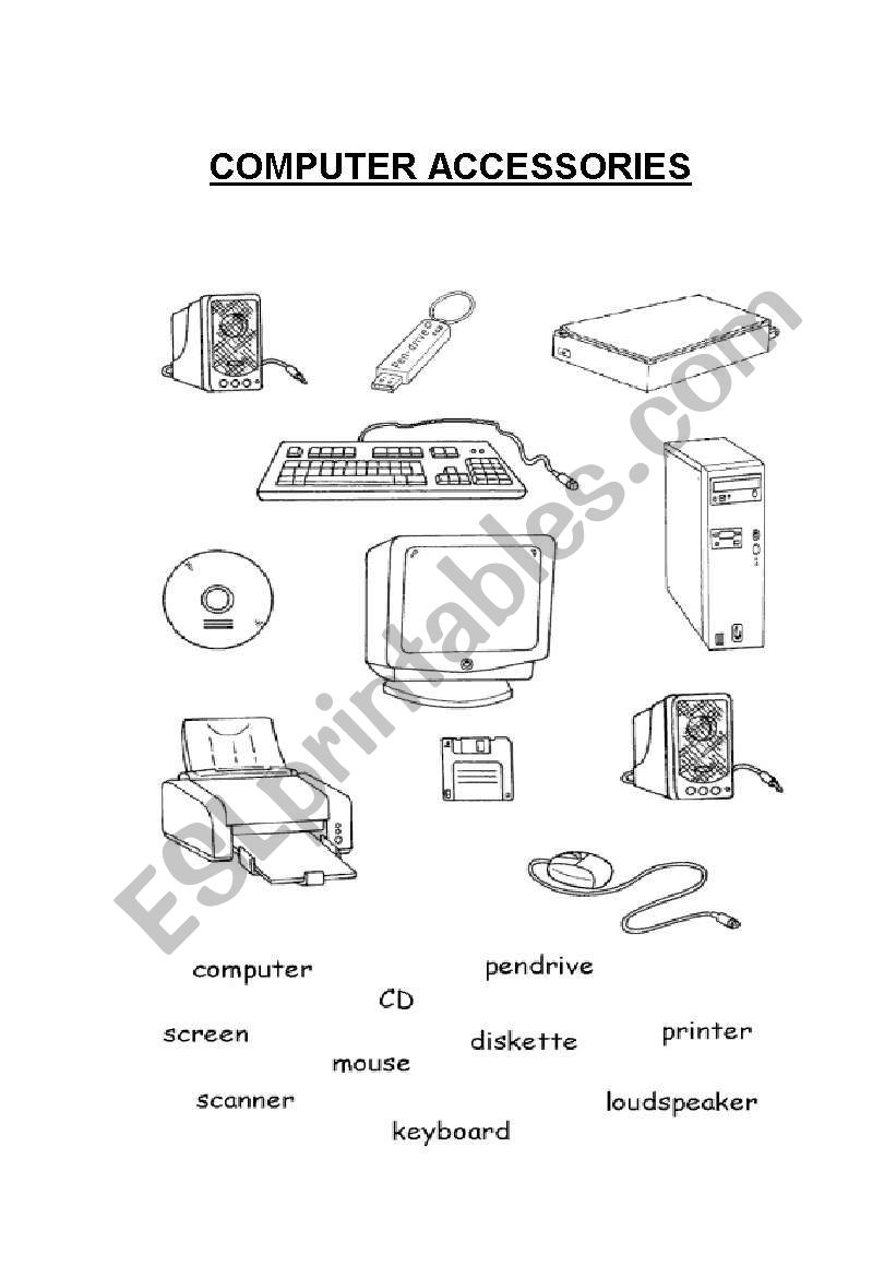 Computer Accessories worksheet