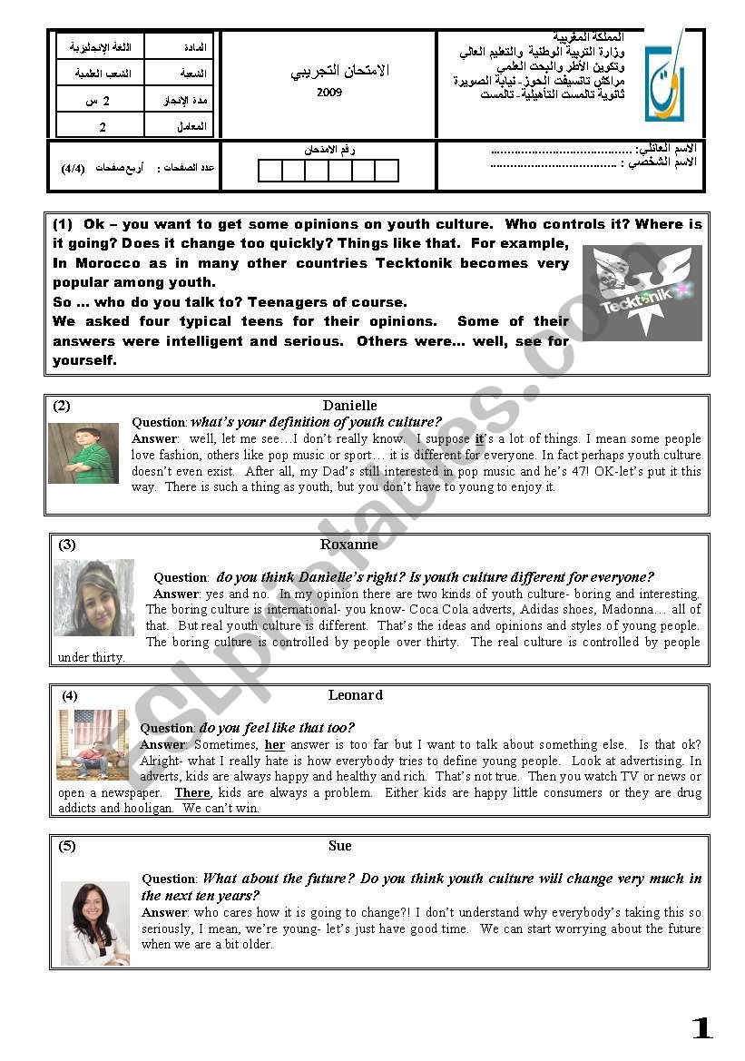 Youth Culture  worksheet