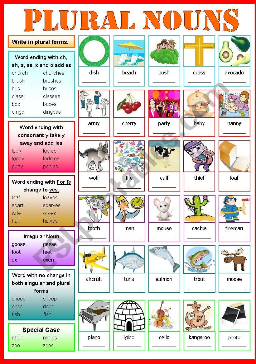 Nouns And Plural Nouns Worksheets