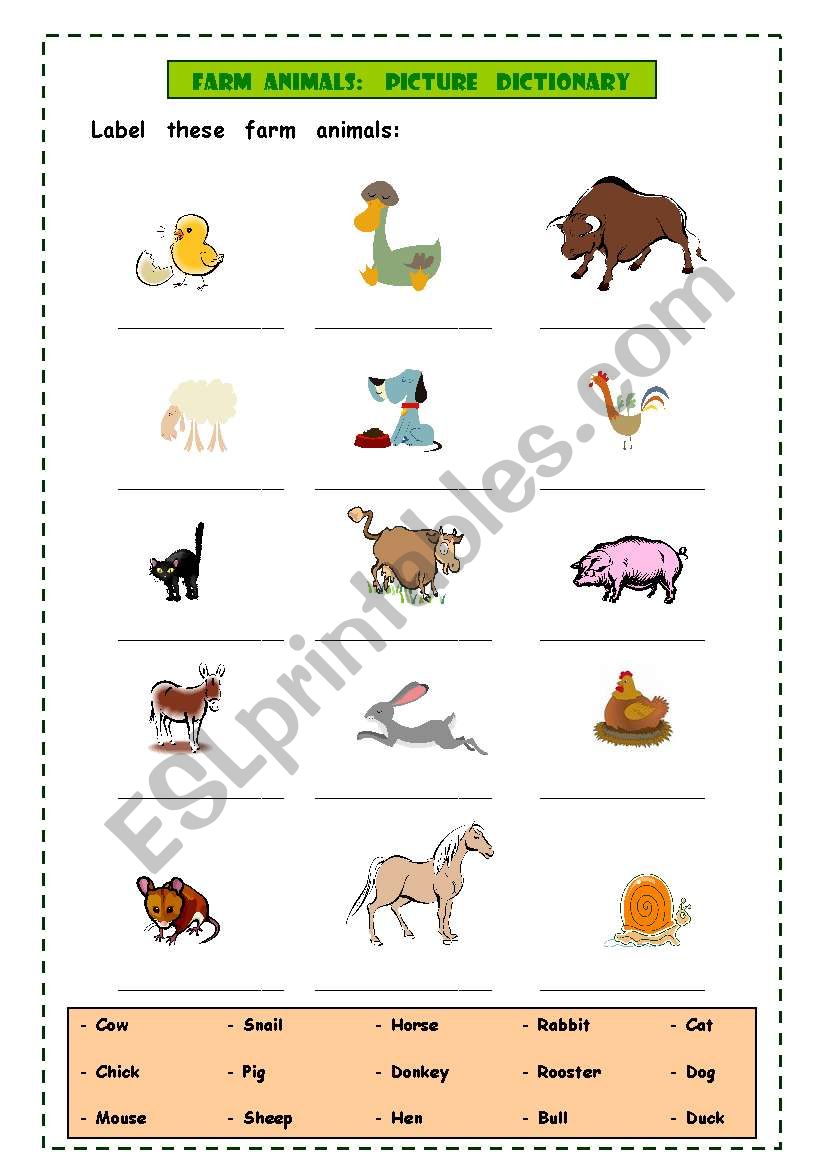 Farm animals: picture dictionary