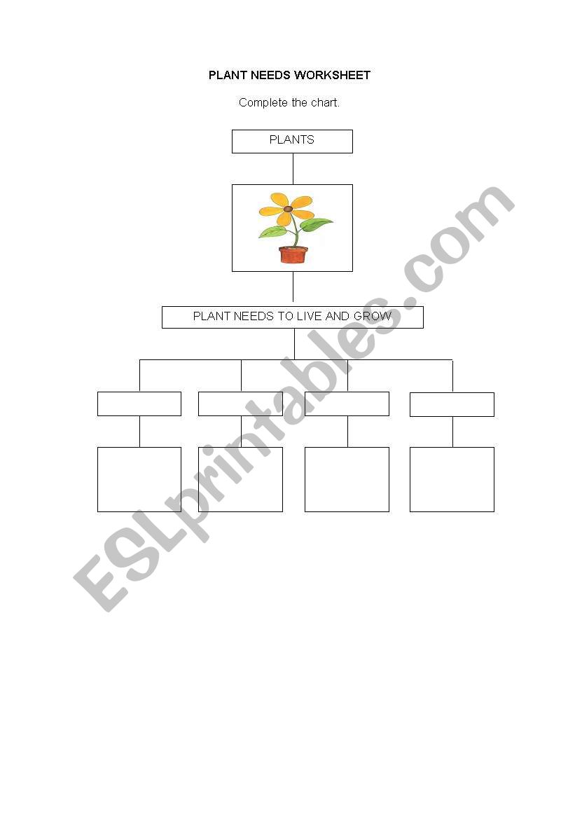 Plant needs  worksheet