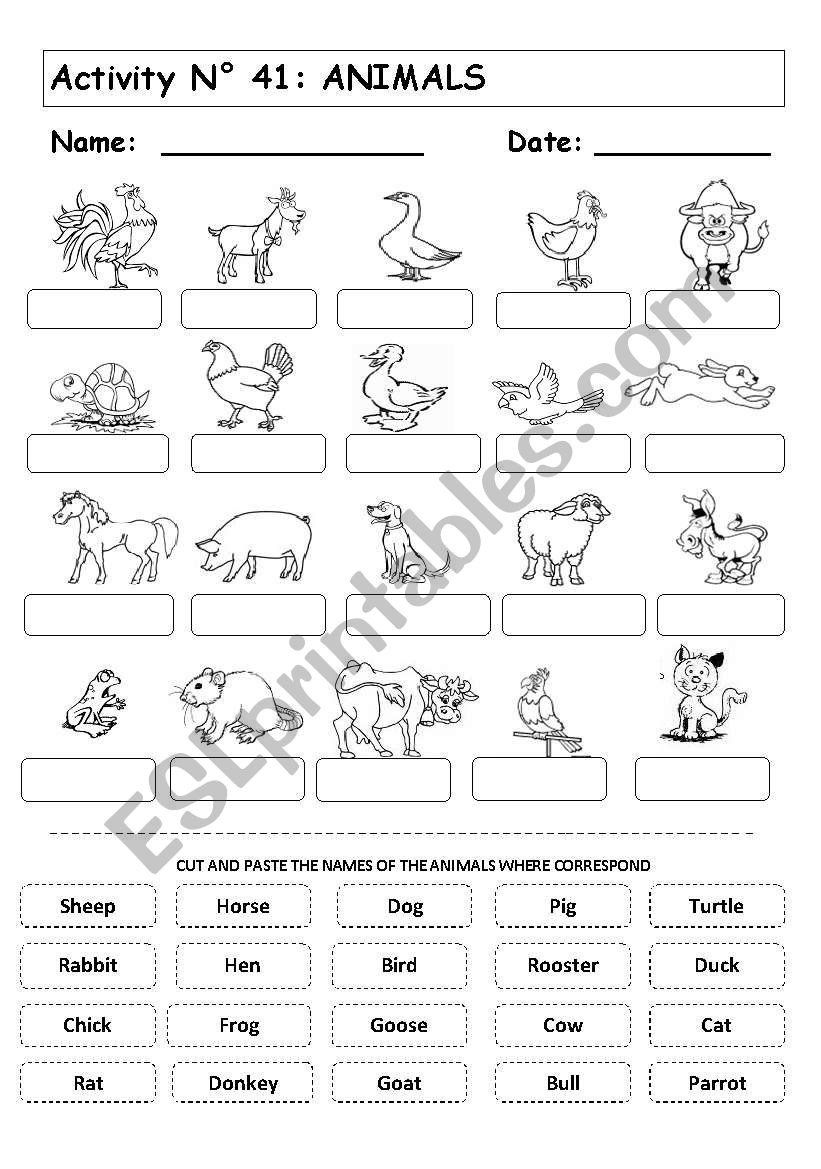 ANIMALS worksheet