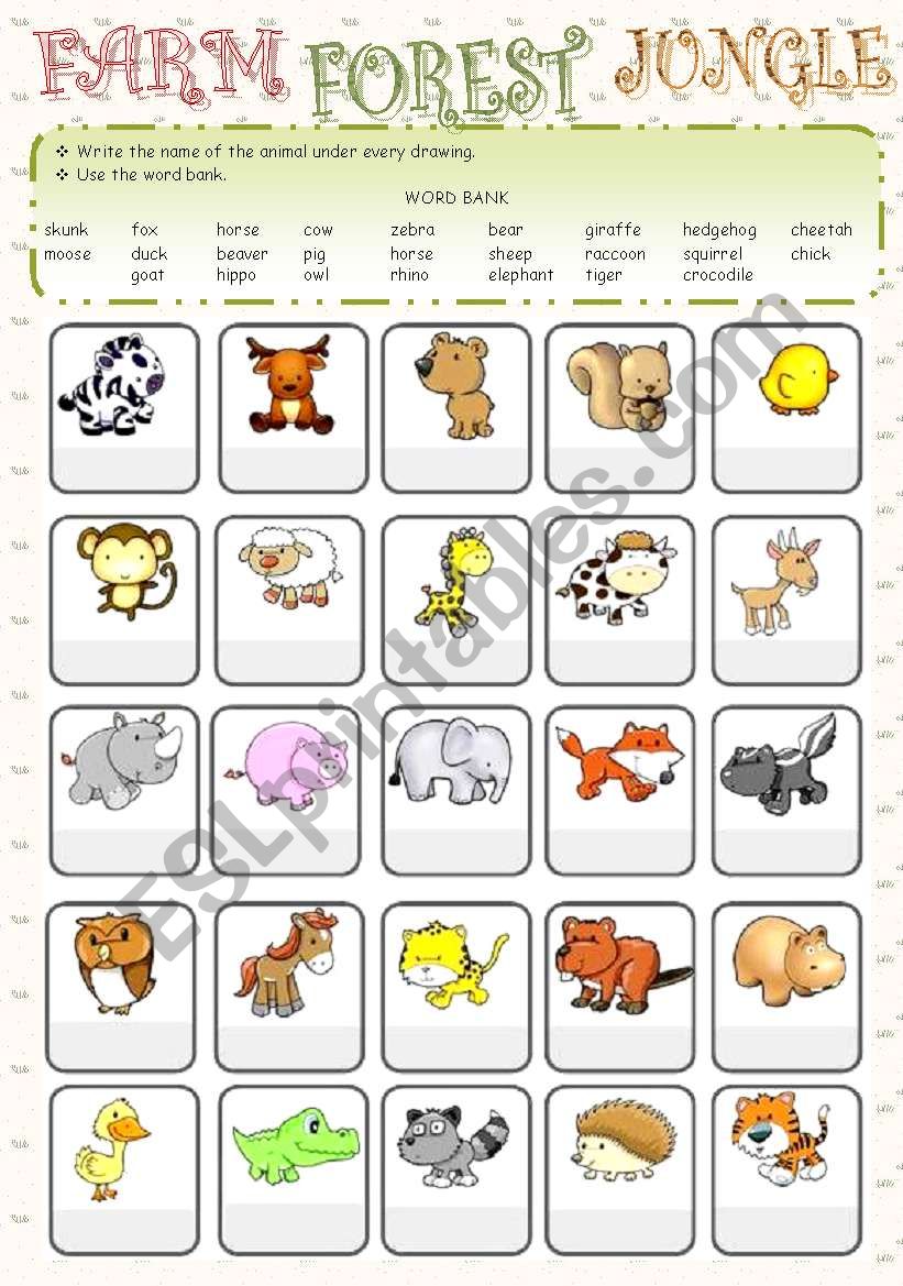 Animals from the farm, forest and jungle - - 2 pages - -