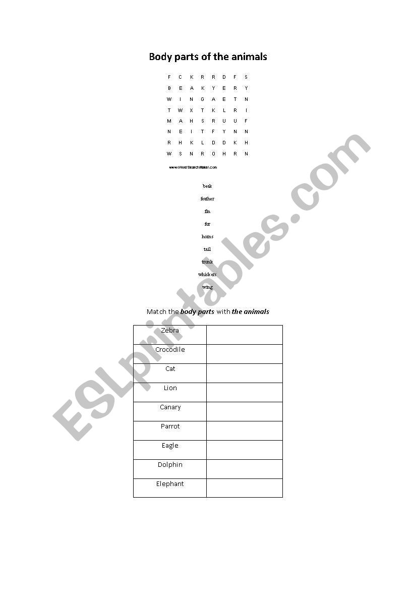 body parts of animals worksheet