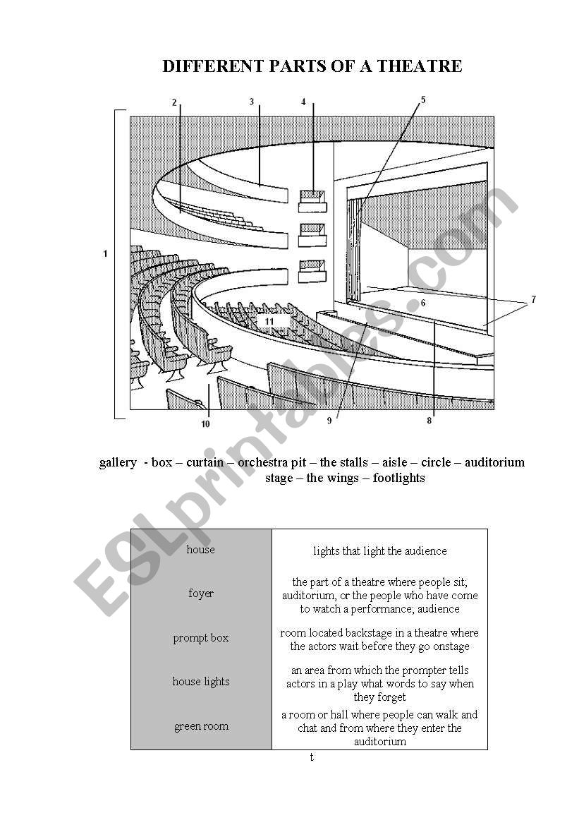 Different parts in a theatre worksheet