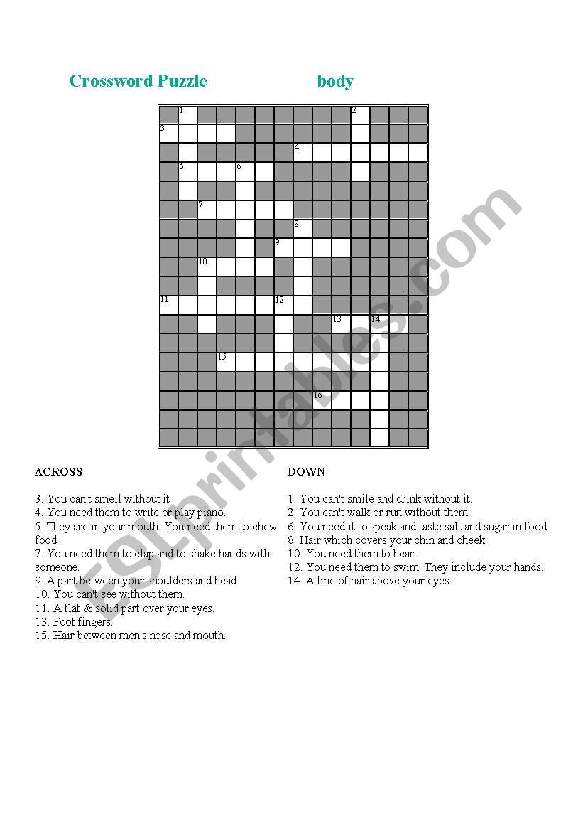 Parts of the body with key worksheet