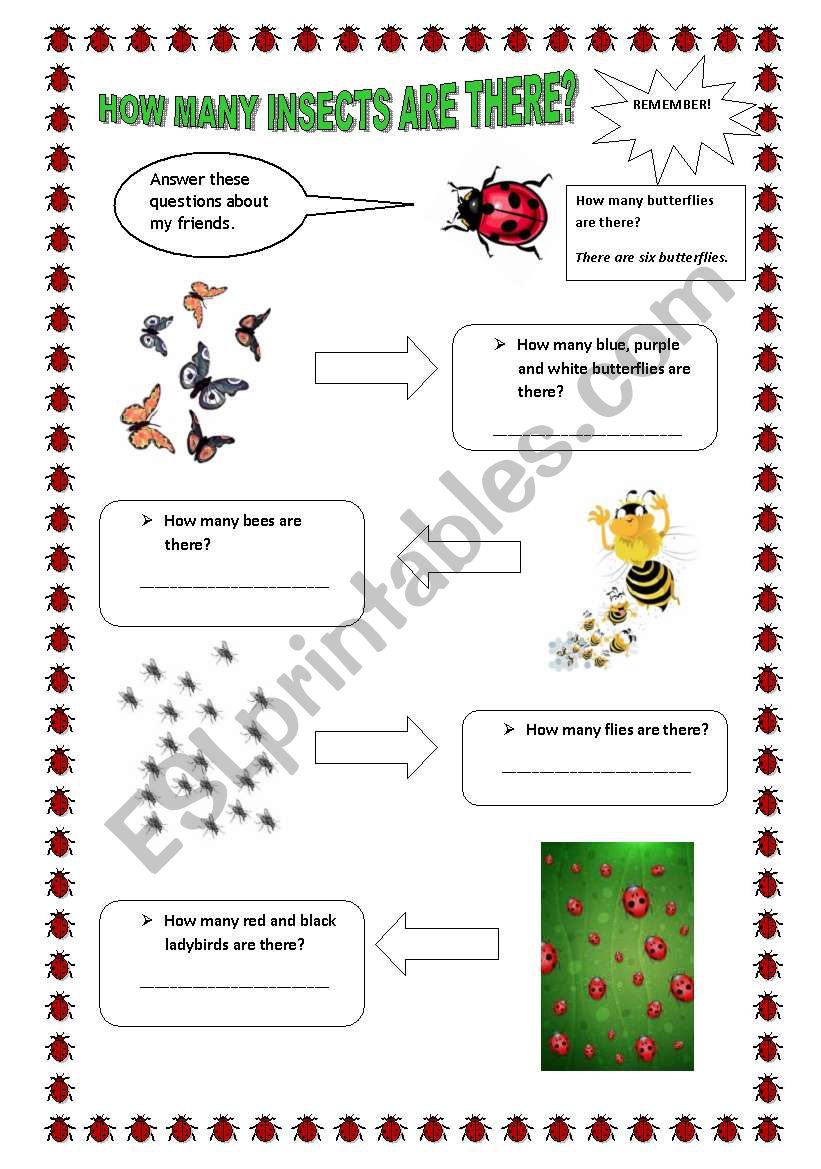 How many insects are there? worksheet