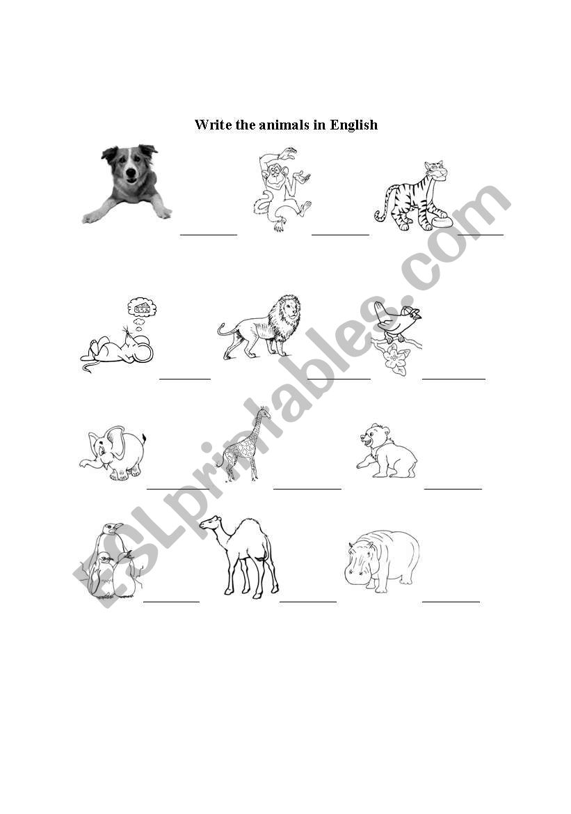 Write the name of the animals worksheet