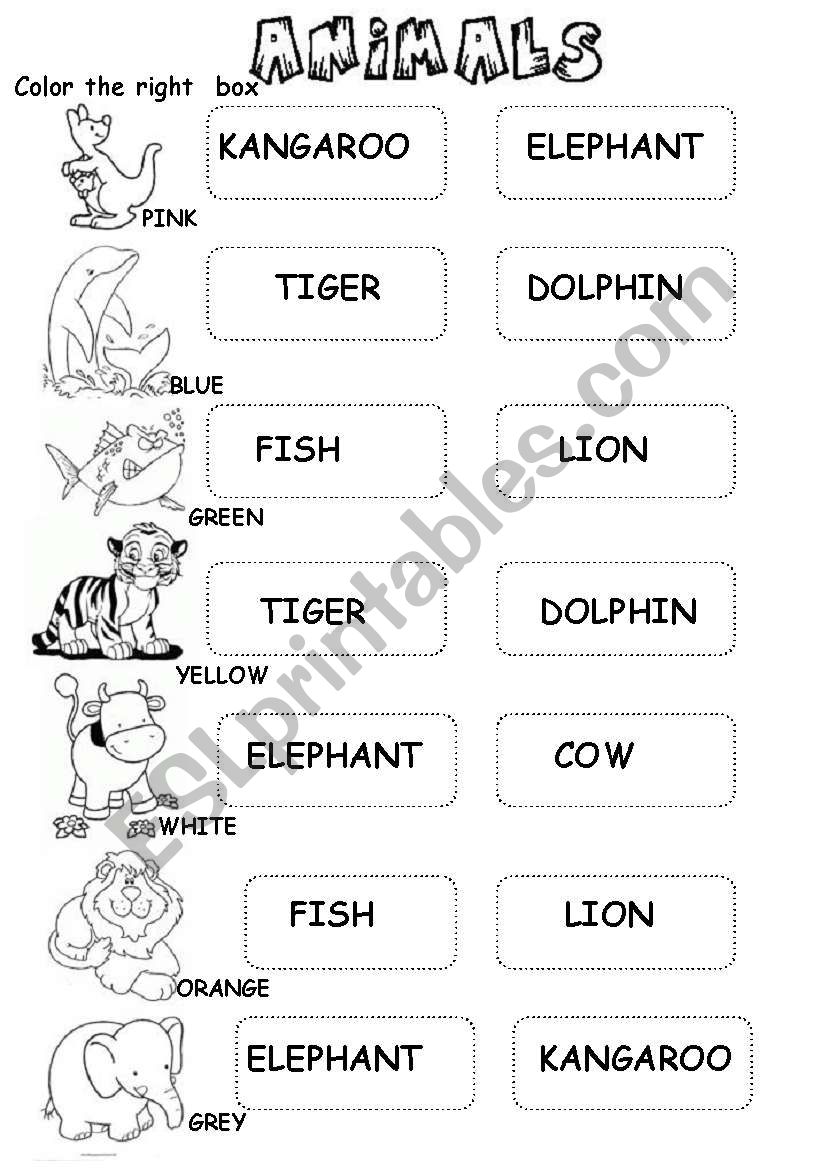 Animals worksheet